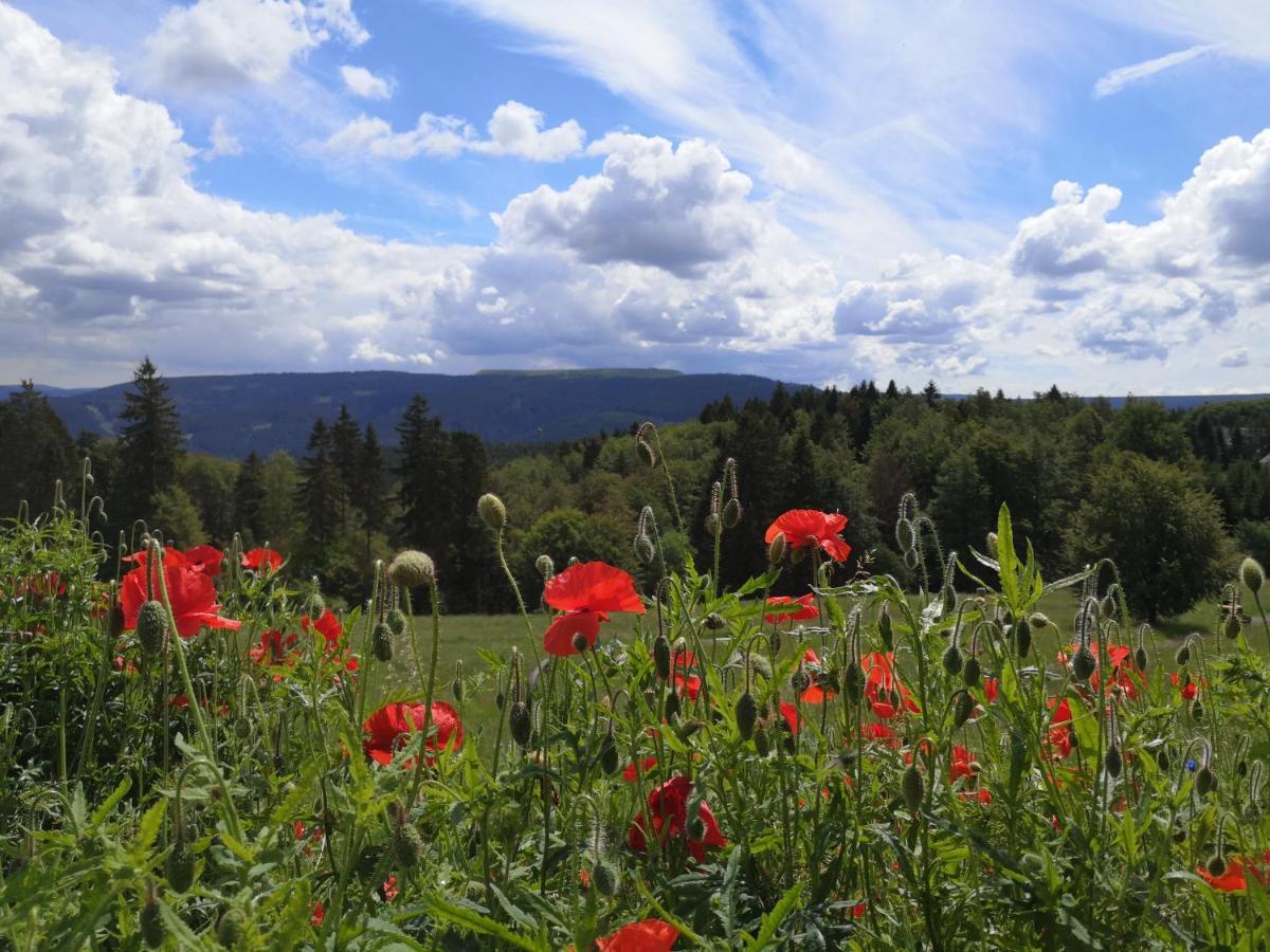 Hotel Schoene Aussicht Masserberg Eksteriør bilde