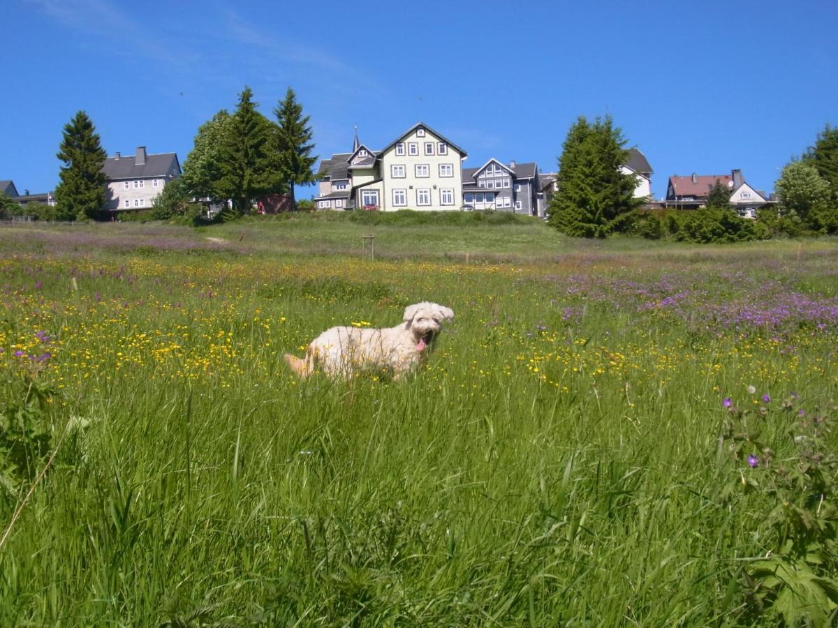 Hotel Schoene Aussicht Masserberg Eksteriør bilde